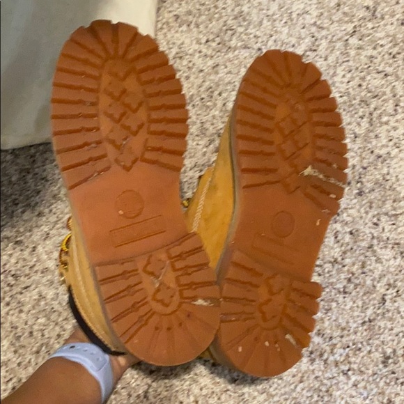 Timberlands - Picture 6 of 6